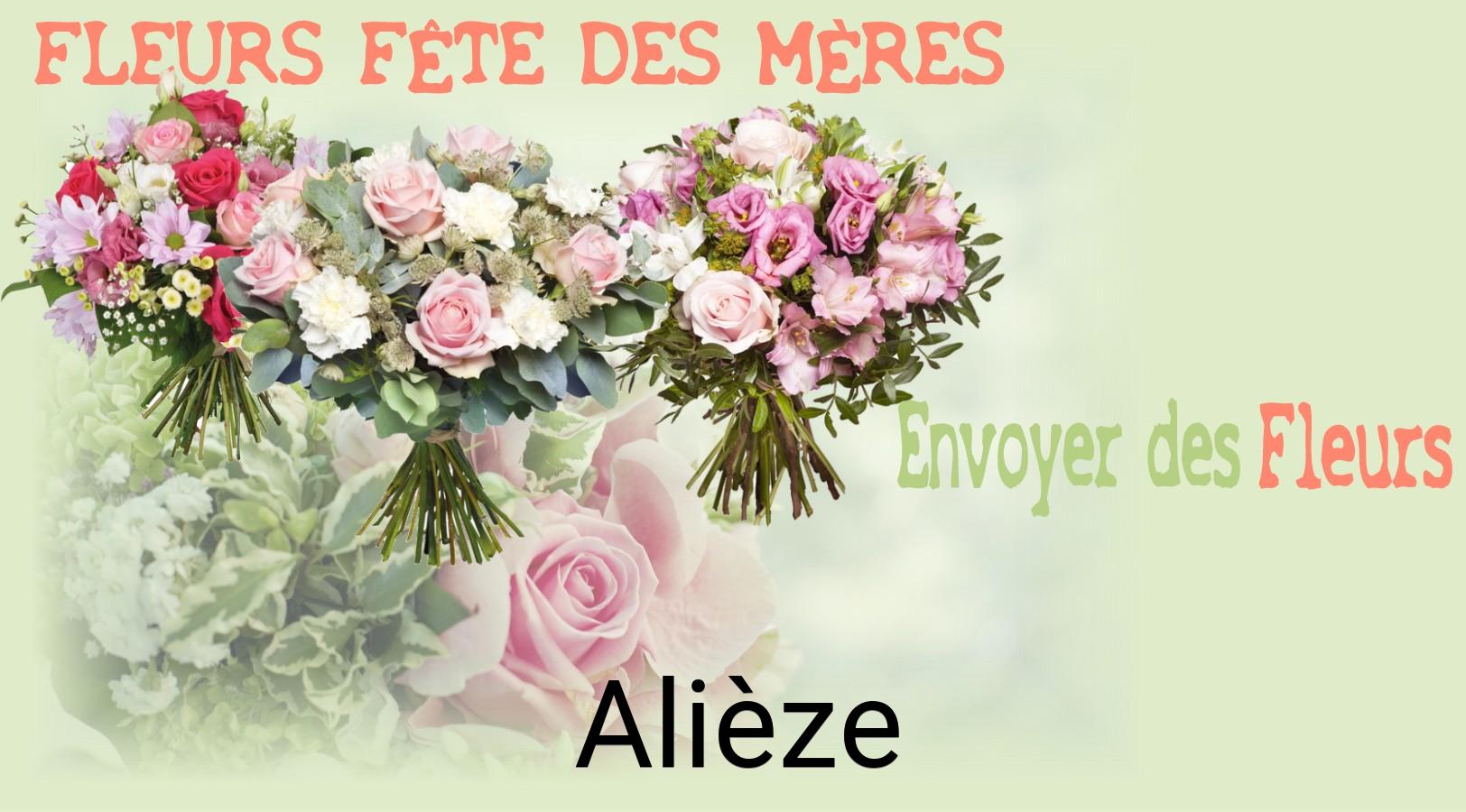Bouquet de Fête des Mères livré à Alièze