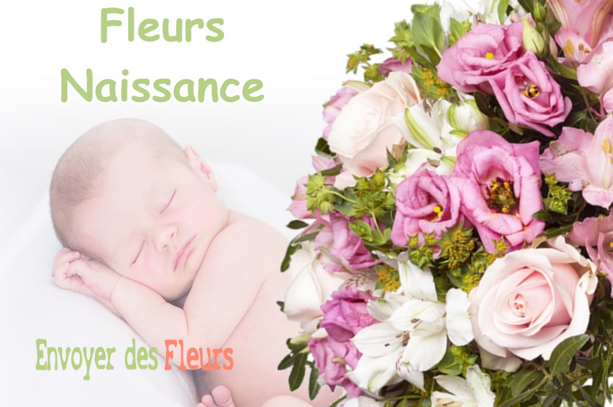 lIVRAISON FLEURS NAISSANCE à ALIEZE